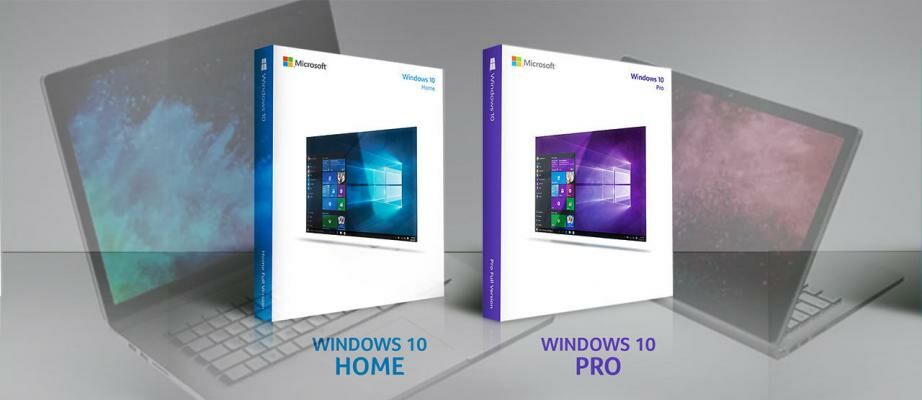 perbedaan windows 10 pro dan pro n