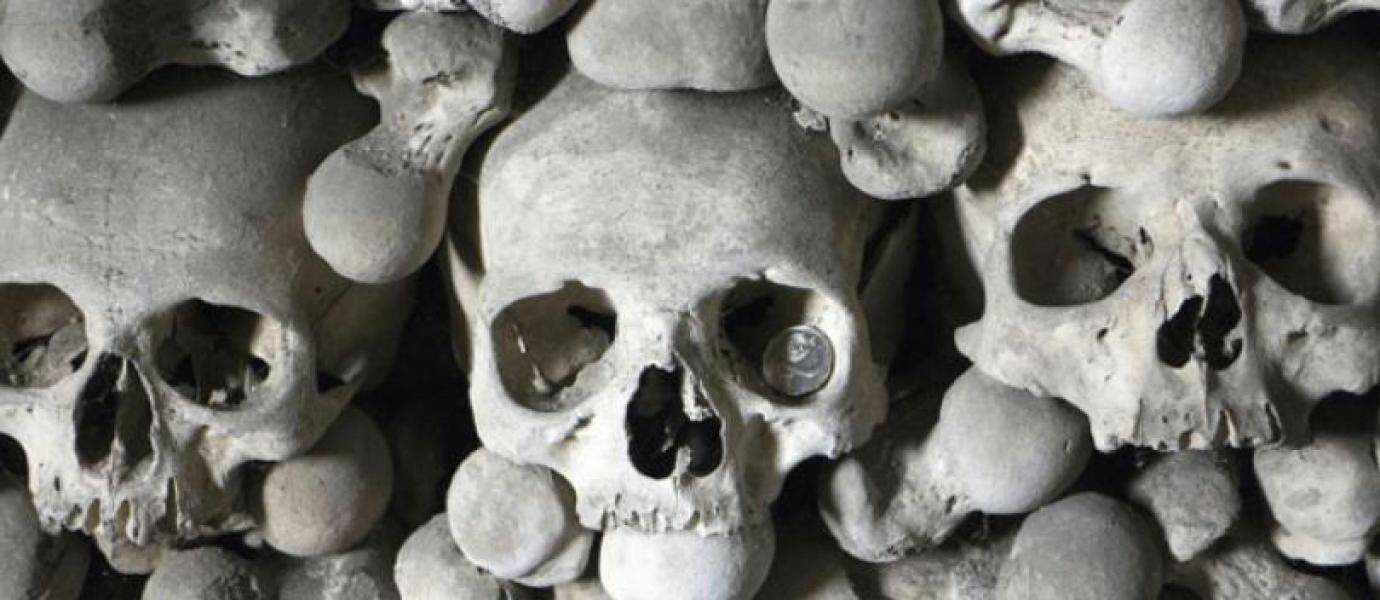 4 Virus Mematikan Ini Bisa Menyebabkan Kepunahan Manusia 