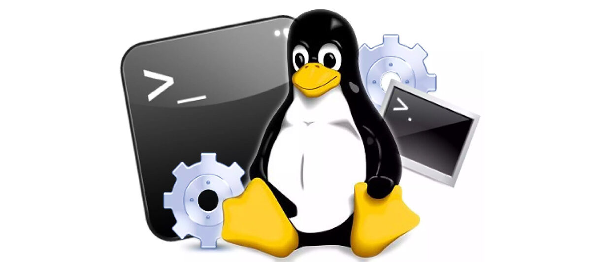 Kumpulan Perintah Dasar di LINUX yang Wajib Kamu Ketahui