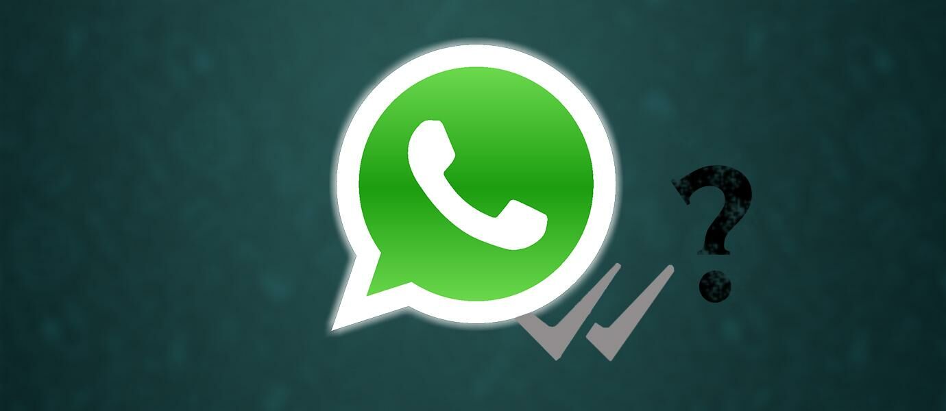 Penyebab WhatsApp Tidak Centang Biru Ketika di Read