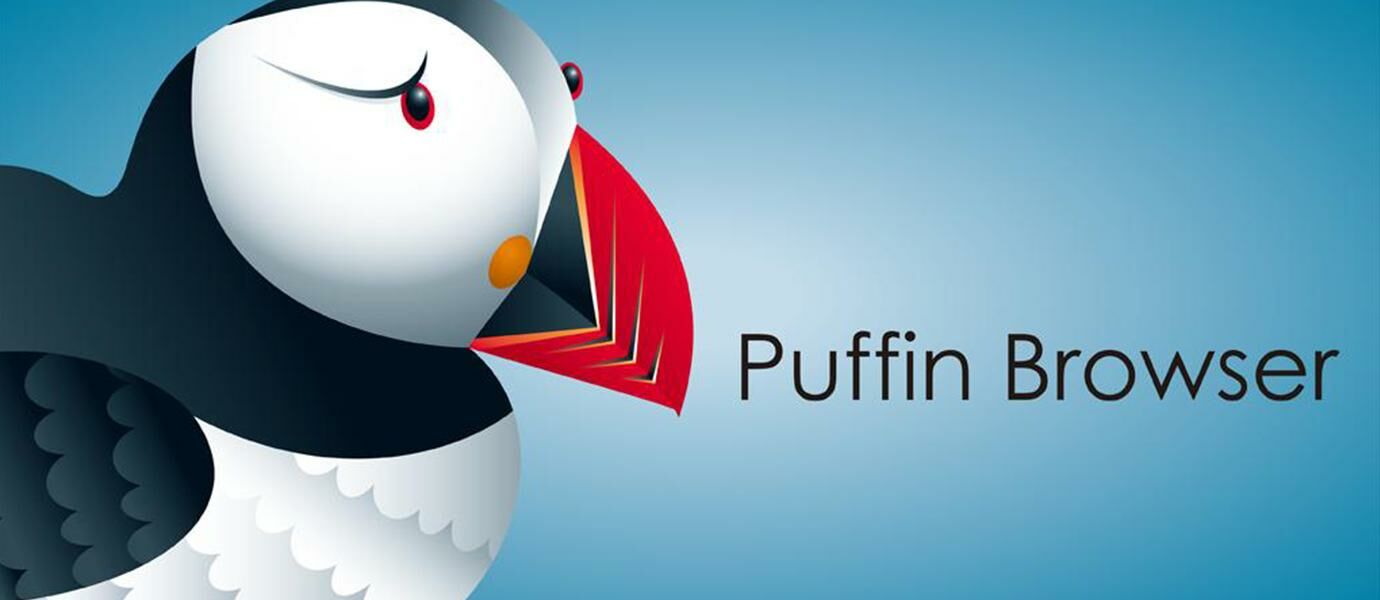 Puffin, Browser Paling Ampuh Untuk Buka Website yang Diblokir di Android