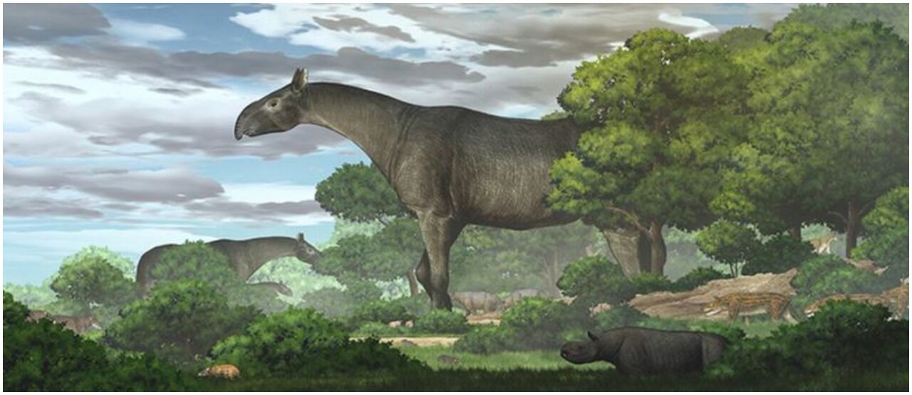 Penemuan Fosil Dinosaurus 173e8
