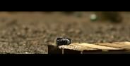3310 Vs Sniper 1