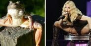 Artis Hollywood Mirip Hewan