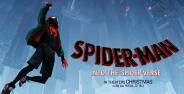 Spiderman Into The Spider Verse Banner 3c0d2