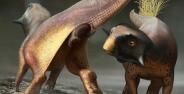 Bob Nicholls Paleocreations Com 2020 Acca2