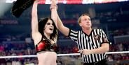 Banner Wwe Paigeporno