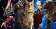 Karakter Hewan Marvel Banner 9f734