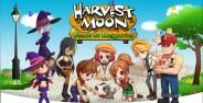 Harvest Moon Seeds Of Memories Banner Ok