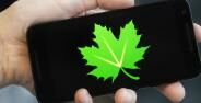 App Root