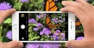 Cara Mengambil Foto Keren Dengan Iphone 11