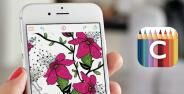 Aplikasi Mewarnai Terbaik Android