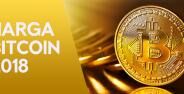 Prediksi Harga Bitcoin 2018 Paling Akurat