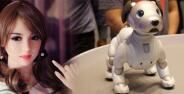 Fakta Tahun 2025 50 Pekerjaan Manusia Diambil Robot 51877