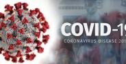 Cara Cek Penyebaran Virus Corona Dan Kondisi Terkini Indonesia 1761a