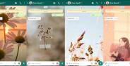 Cara Mengganti Wallpaper Whatsapp 80f5a