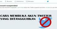 Banner Cara Mengembalikan Akun Twitter Yang Dibatasi 01c2e