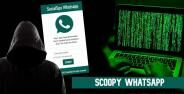 Scoopy Whatsapp Socialspy Whatsapp D91c2