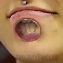 6 Hole Mouth