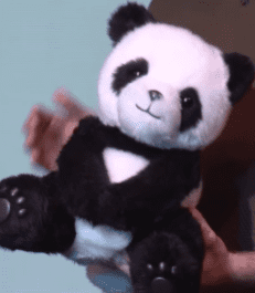 Boneka Panda Milik Google