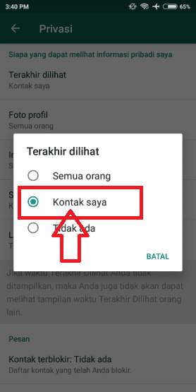 cara-whatsapp-tidak-terlihat-online (8)