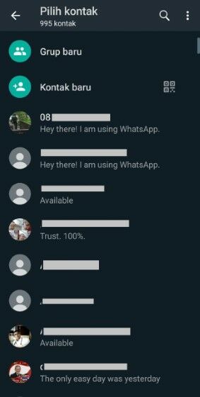Whatsapp Messenger Contact B0f4b