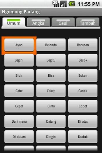5 Aplikasi Translate Bahasa Minang Online Offline Jalantikus