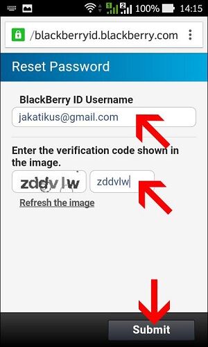Lupa Password Bbm 6