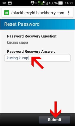 Lupa Password Bbm 7