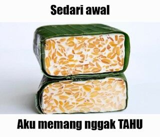 Meme Tahu 10