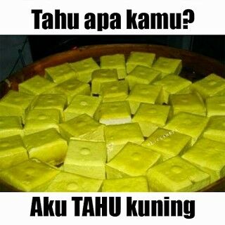 Meme Tahu 11