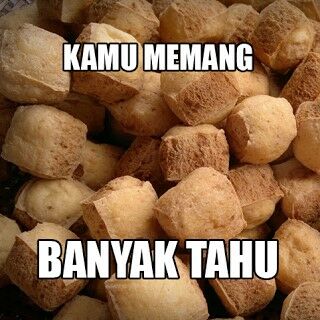Meme Tahu 12
