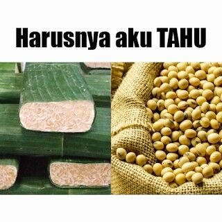 Meme Tahu 6