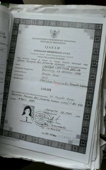 Laudya Chintya Bella 9ee96