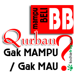 dp-bbm-idul-adha-2016-beli-bb
