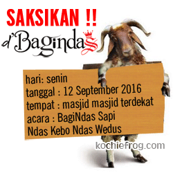 dp-bbm-idul-adha-2016-dbagindas