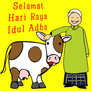 dp-bbm-idul-adha-2016-sapi-emooh