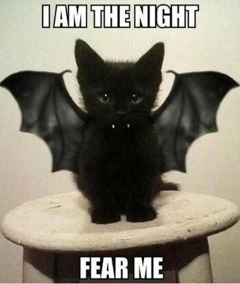 Meme Halloween Terlucu Media Sosial 5 F7856