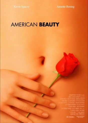 American Beauty 337c5