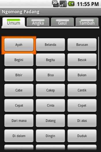 Aplikasi Translate Bahasa Minang Ke Indonesia 3cab0