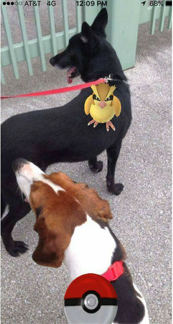 Pokemon Di Tempat Tak Terduga 2
