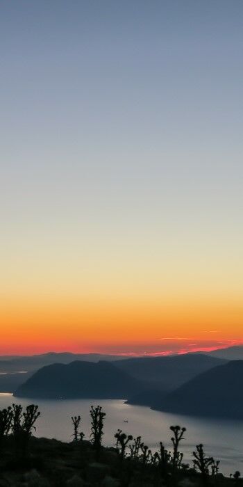 IPhone X Wallpaper 11 1750 X 3500 466d9