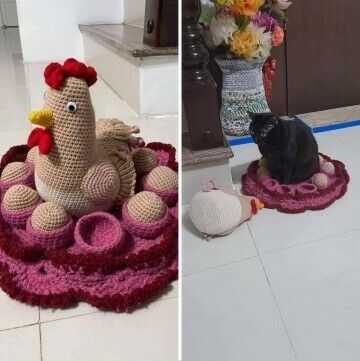 Kelakuan Kucing Lucu Bikin Ngakak 82dc1