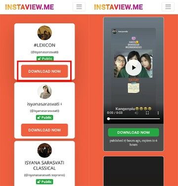 Download Story Instagram Tanpa Aplikasi A76ae