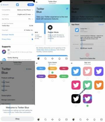 Fitur Twitter Blue 55572