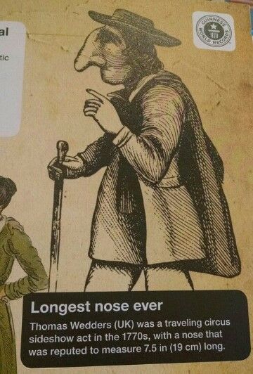 Thomas Wedders Hidung 19 Cm 21753