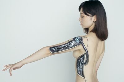 Body Painting 3d Karya Hikaru Cho 30
