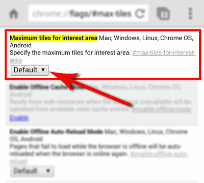 Chrome Ringan2