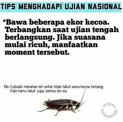 Meme Ujian Nasional 2