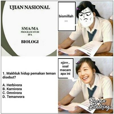 Meme Ujian Nasional 11
